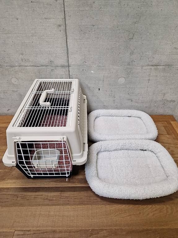 Gabbie, trasporto & Sicurezza: Hundetransportbox – Usato da Basel venduto da Angegiulio 4