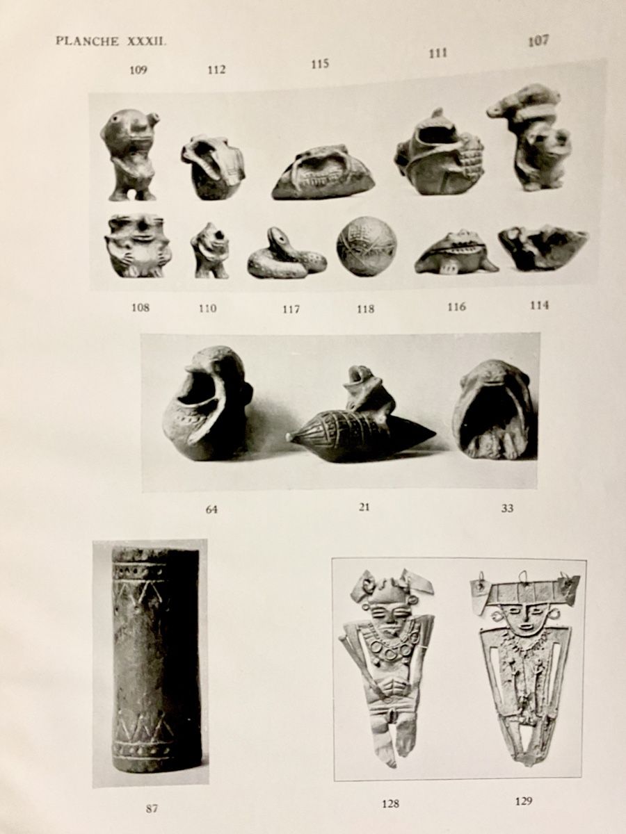 Libri: Explorer Voyage Scientifique Dr Mayor Sces naturelles Expé – Usato da Cointrin venduto da vrossi 7