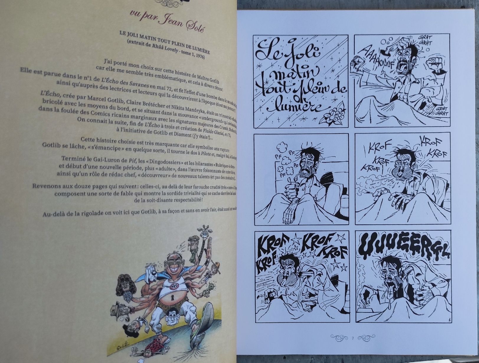 BD: GOTLIB Les Grands Crus Classés de Fluide Glacial (EO) – D'occasion à Biel/Bienne par pijama 3
