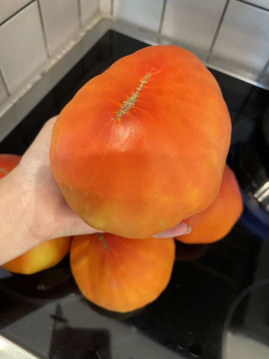 Piante & sementi: Graines de tomate cœur de bœuf – Nuovo (secondo la descrizione) da MARLY venduto da AISLEE 1