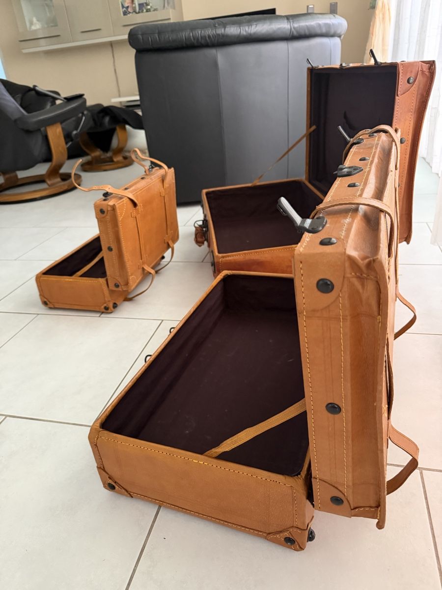 Valigie: Vintage Reisekoffer aus Leder  – Usato da Unterentfelden venduto da Us1502 1