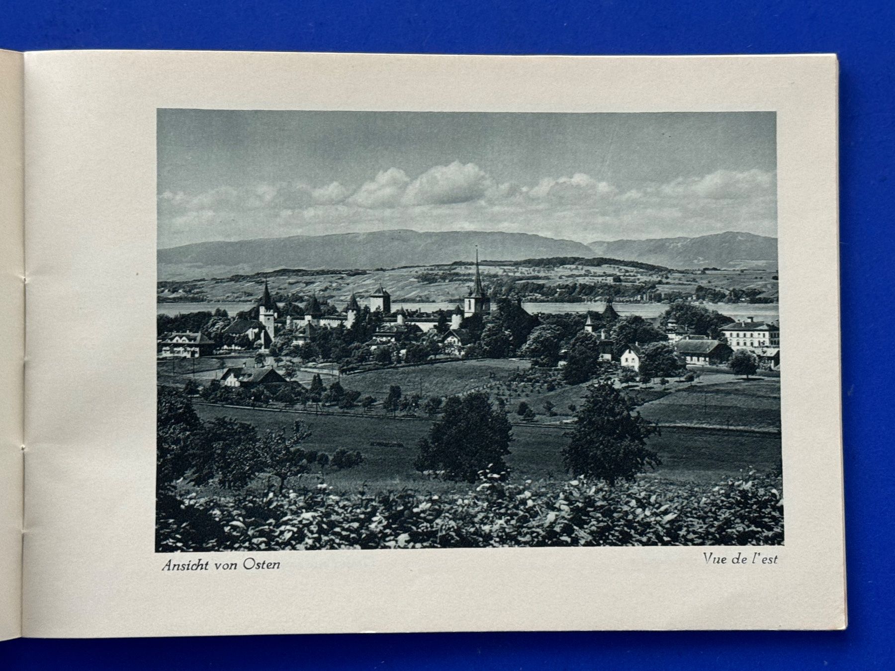 Libri: Murten / Morat. illustrierter Prospekt ca 1920 – Usato da Adliswil venduto da buch_und_kunst 1