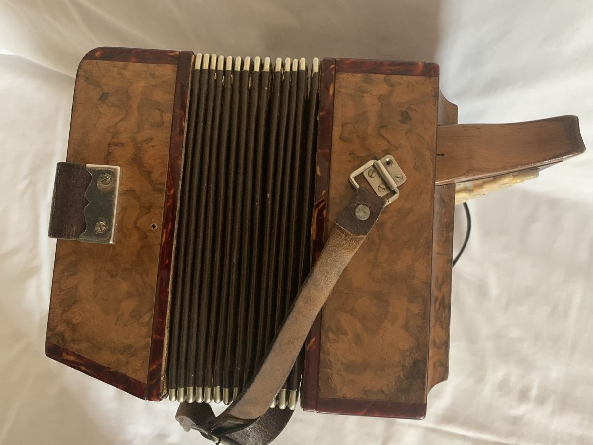 Strumenti musicali: Diatonische Handorgel – Usato da Zürich venduto da Olimpied 6