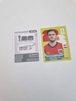 Panini Sticker AUT18