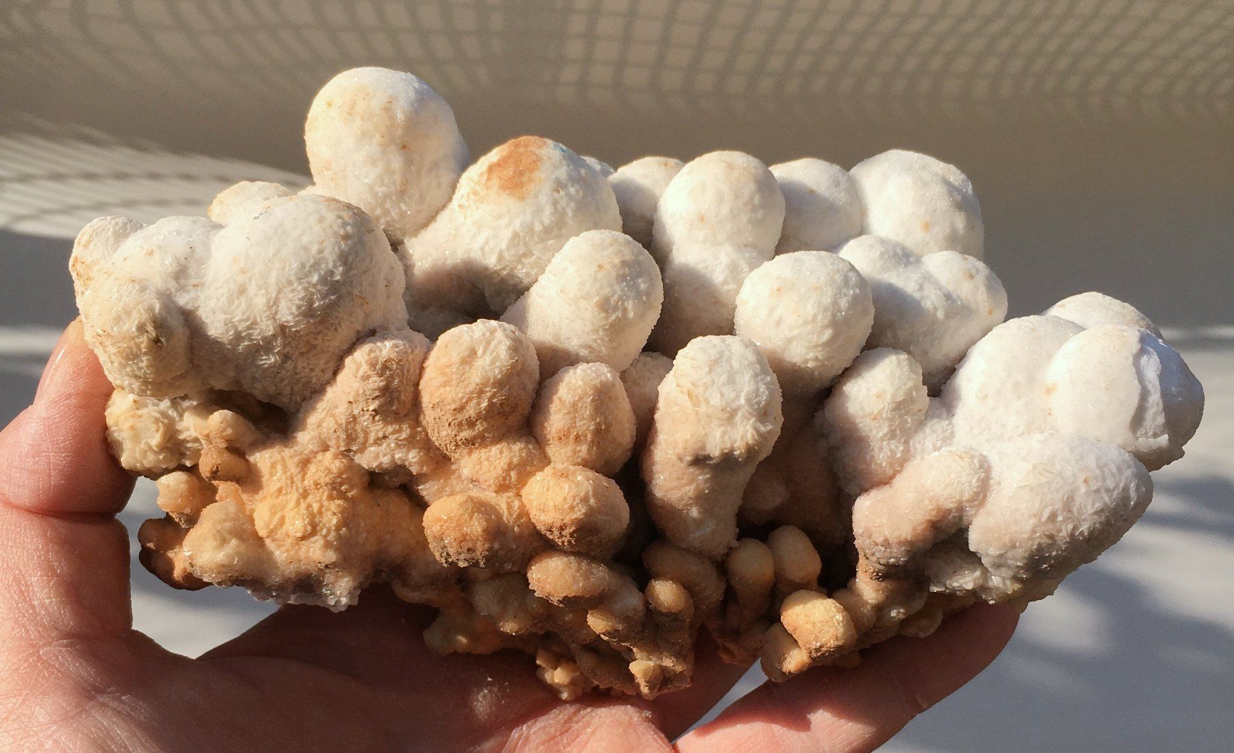 Minerali & Pietre curative: aragonite cristallisée – Usato da Vevey venduto da zabounetta 1