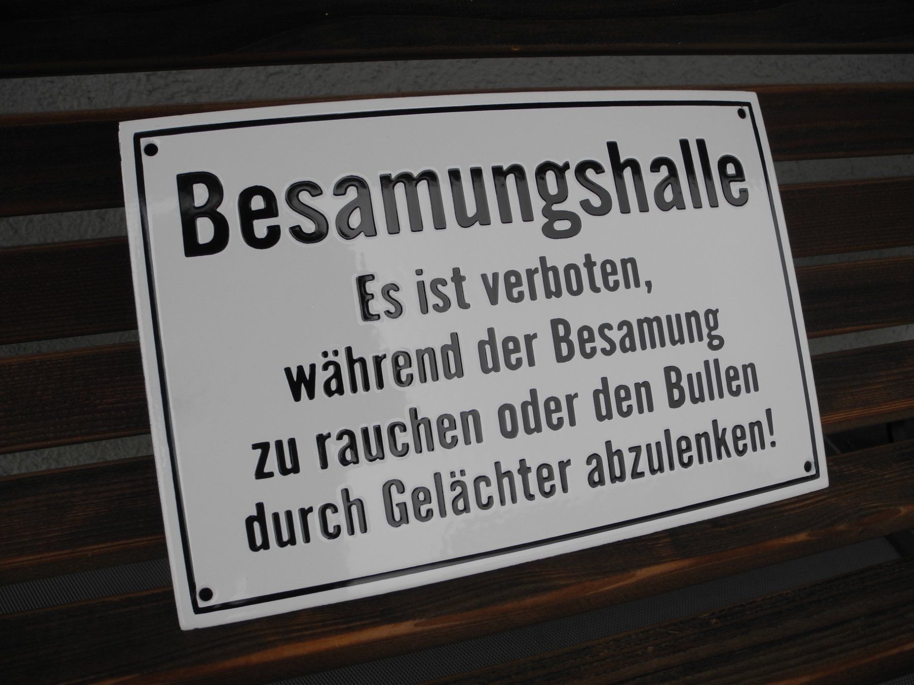 Schilder: WITZIGES EMAILSCHILD – Neu (gemäss Beschreibung) aus Reinach AG von Huckleberrysix 1