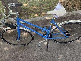 Citybike Damen, fam. Huber