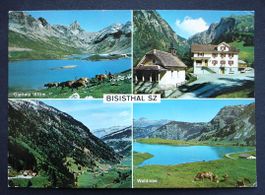 BISISTHAL SZ Gasthaus Schwarzenbach, Kühe