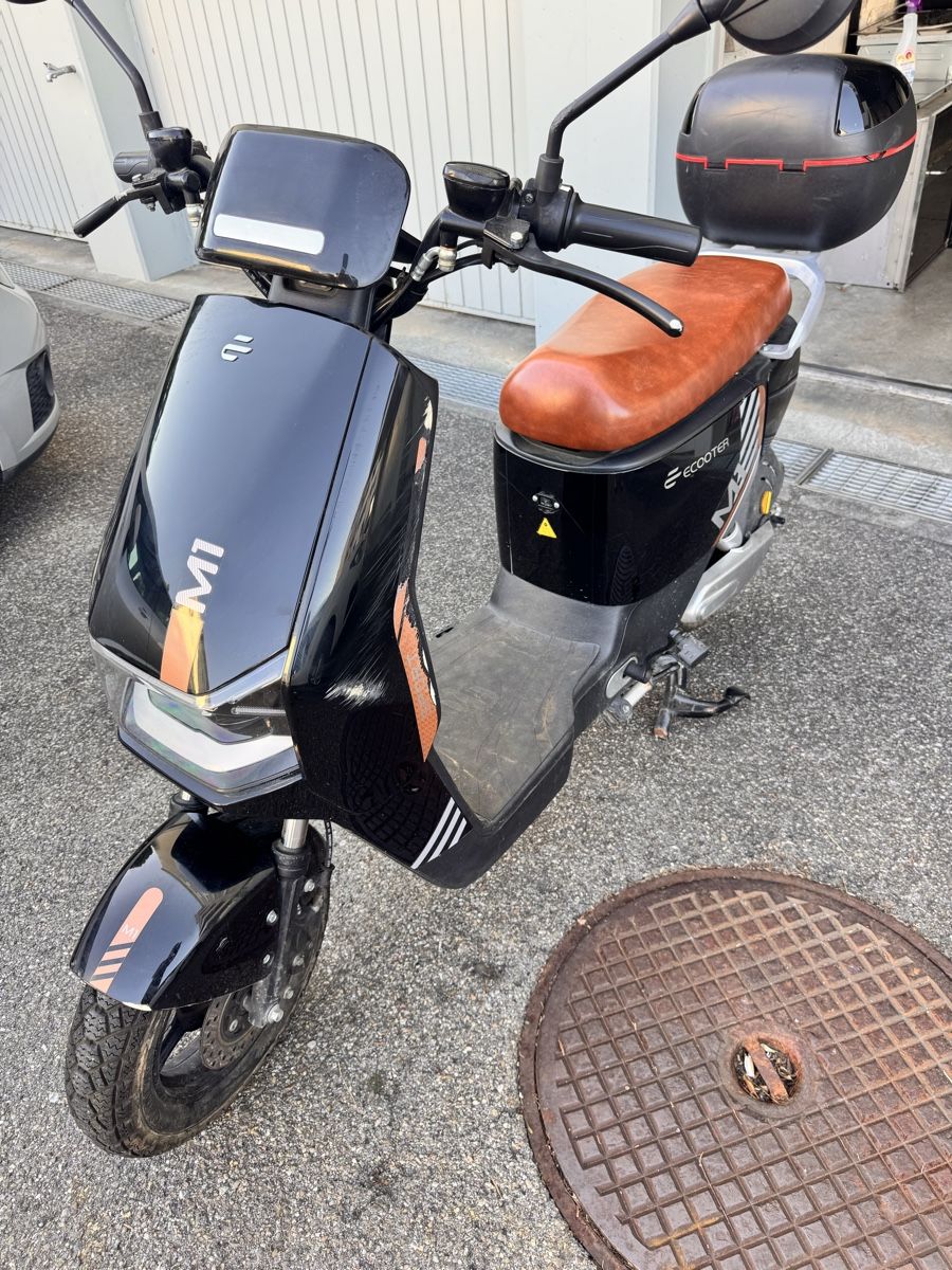 Scooter: E-Scooter ECOOTER M1 schwarz 25km/h – Difettoso da Horw venduto da dancav