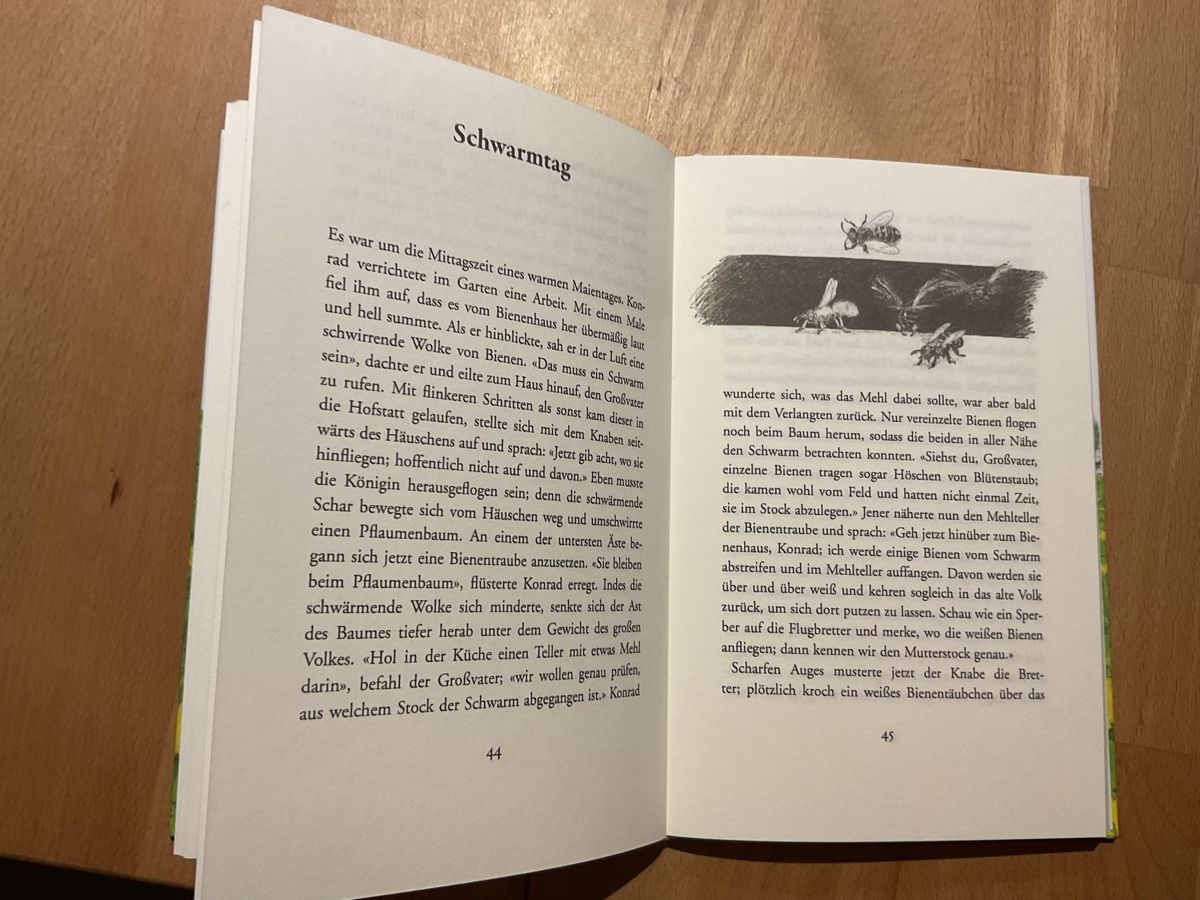 Bücher: Das Bienenbuch Jakob Streit 7+ – Neu (gemäss Beschreibung) aus Wil ZH von RiccardaWegmann 7