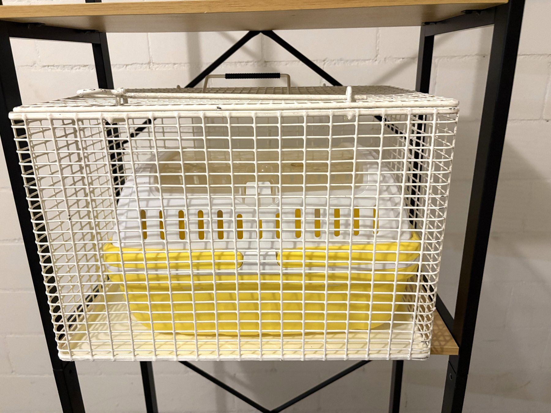 Gabbie, trasporto & Sicurezza: Tier Transportboxen 2 Stück – Nuovo e nell'imballaggio originale da Glattbrugg venduto da Ariel012