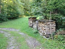 Brennholz vorwiegend Buche