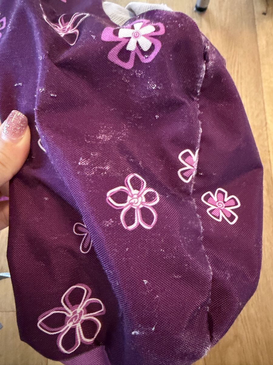 Ergobag Kindertaschen: Ergobag Rucksack lila mit Blumen Kinderrucksack – Gebraucht aus Luzern von La_sfinge 3