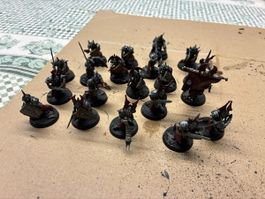 Soulblight Gravelords vollständig bemalt