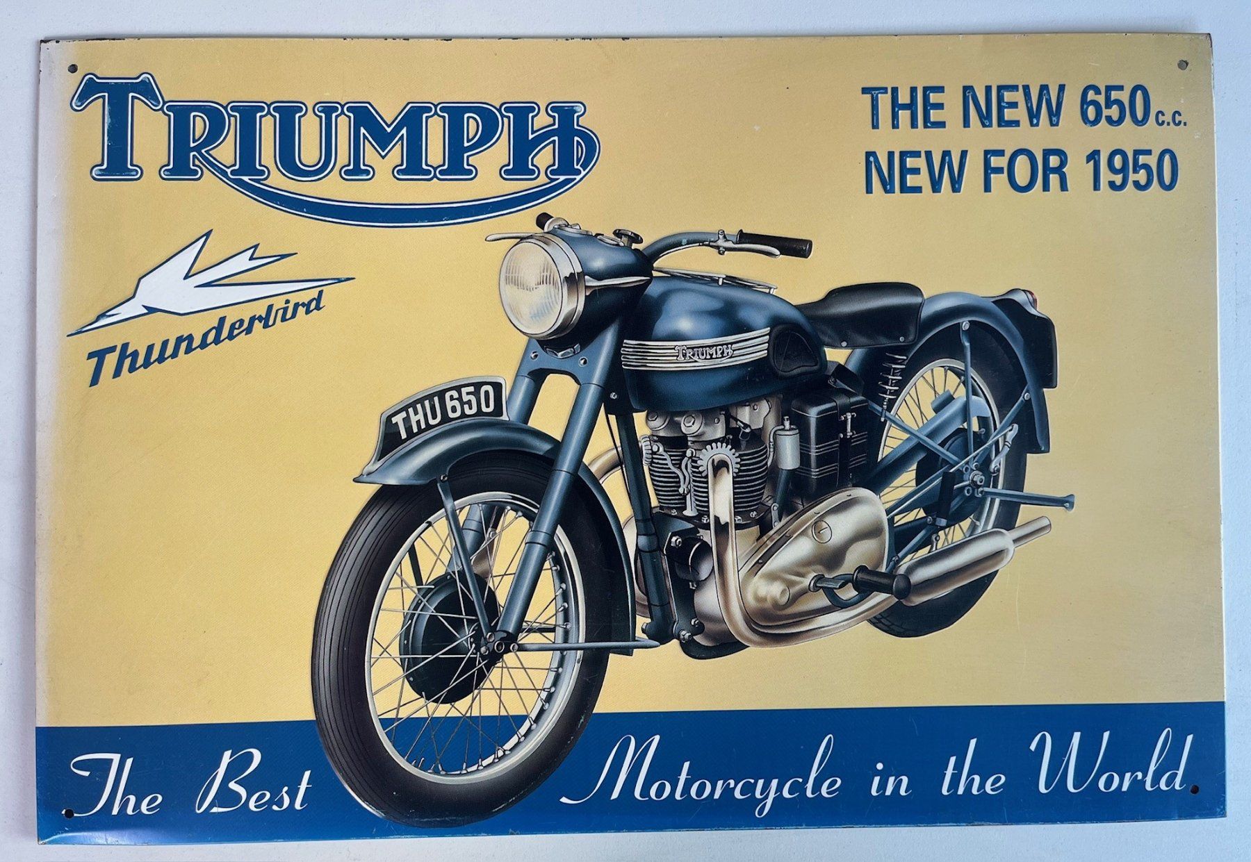 Triumph Insegne: Markenschild TRIUMPH Thunderbird 650 – Usato da Termen venduto da dagi94