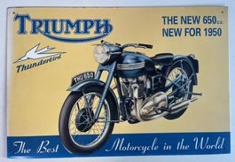 Markenschild TRIUMPH Thunderbird 650