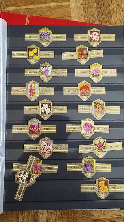 Zigarren: 650 bague pour  les sigares – Gebraucht aus Couvet von lulul 1