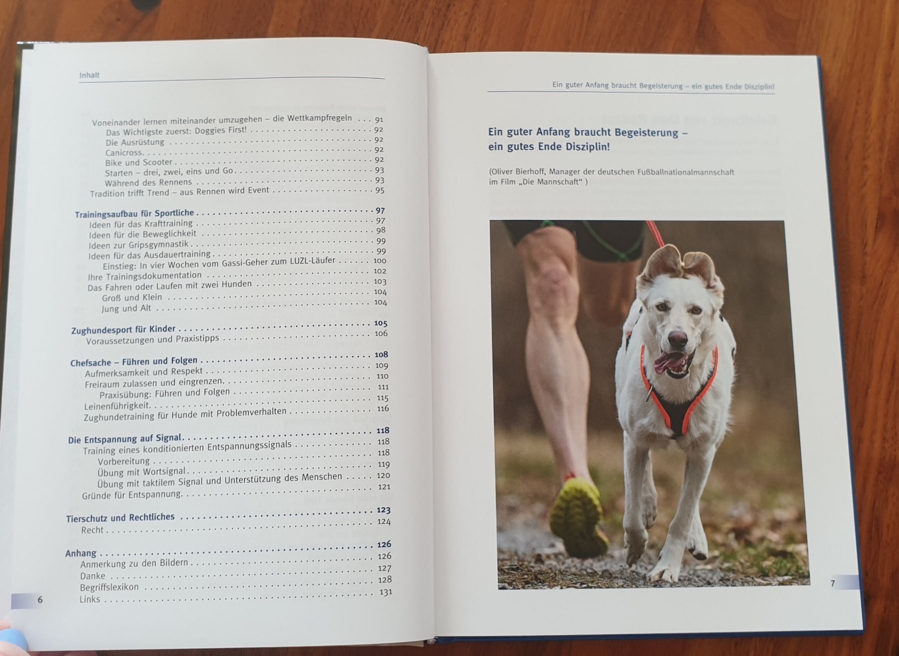 Libri: Buch Zughundetraining Hundesport – Nuovo (secondo la descrizione) da Weiningen ZH venduto da Sternschnuppe33 2