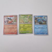 Ascended Heroes Promo Set Englisch NM