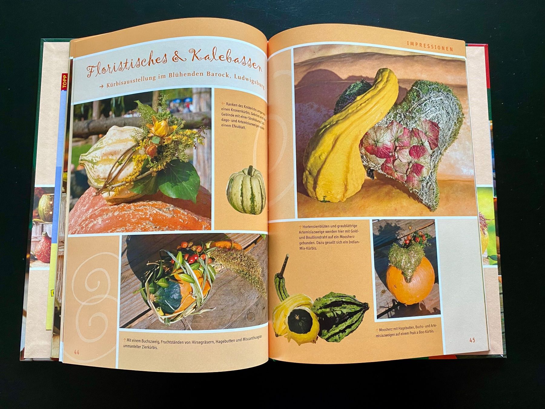 Bücher: Das grosse Kürbisbuch – Gebraucht aus Nussbaumen AG von schuba2000 3