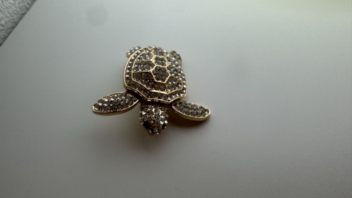 Broschen & Nadeln: Schildkröte Brosche – Neu (gemäss Beschreibung) aus Oberengstringen von May_7 3