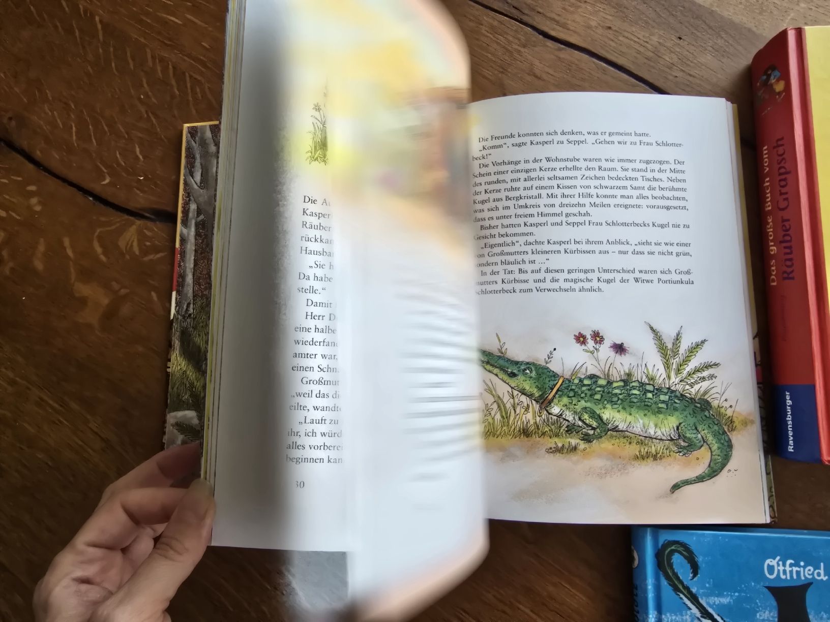 Libri: Otfried Preussler - Räuber Hotzenplotz set ..top – Usato da Wittenbach venduto da Tigerlili 3