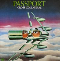 PASSPORT DOLDINGER / Cross Collateral