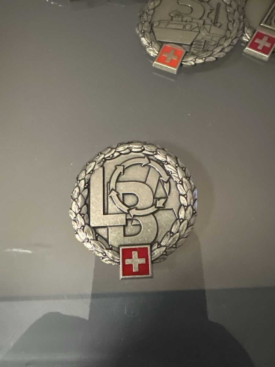 Schweizer Armee Placchette & Badge: Armee – Usato da Morbio Inferiore venduto da Ecod