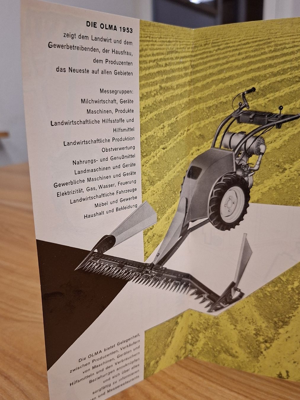 Documenti: Olma Proschüre 1953 – Usato da Ganterschwil venduto da HeidiuPeter 2