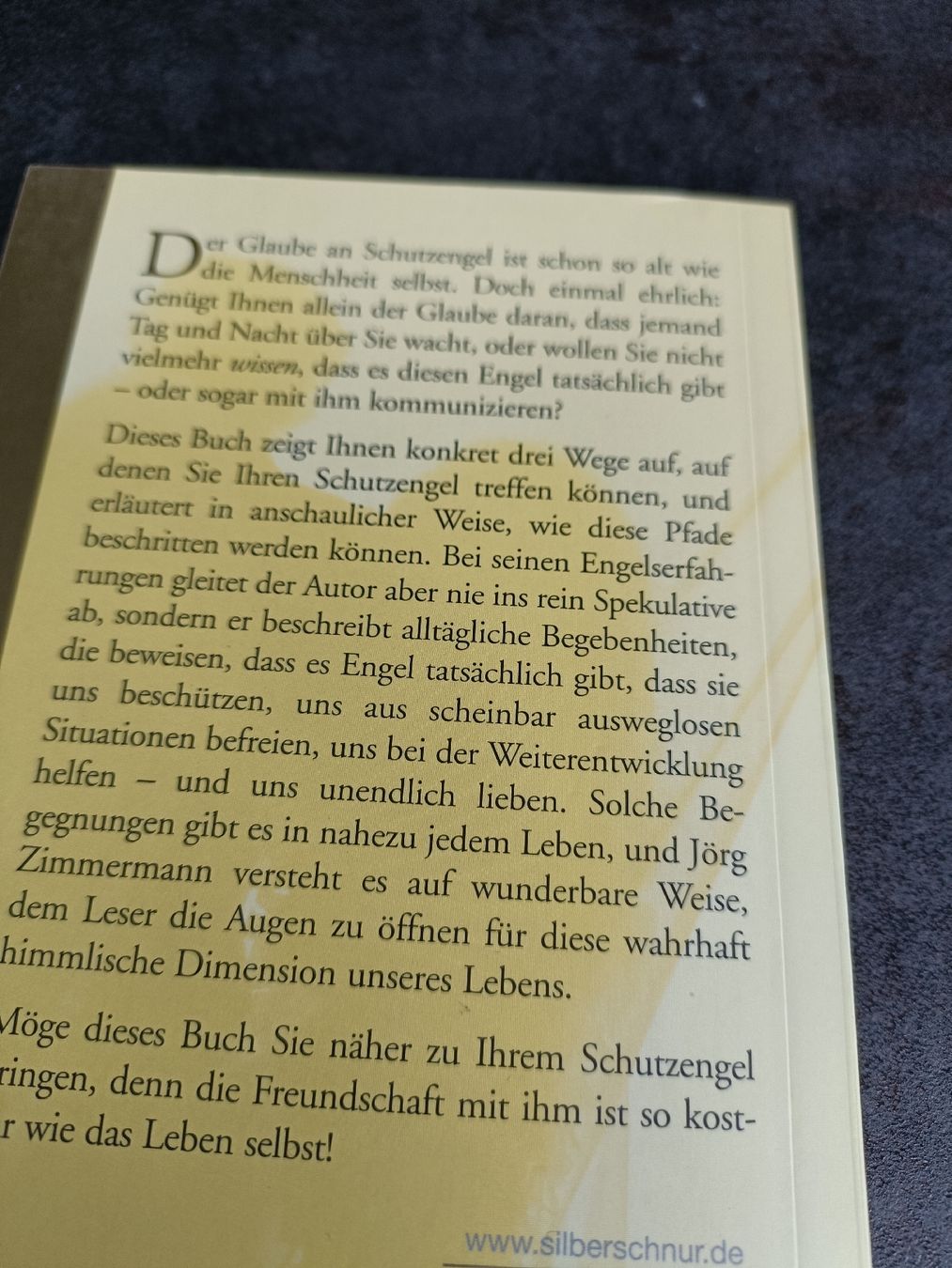 Libri: Schutzengel - so treffen sie ihren Schutzengel – Nuovo (secondo la descrizione) da Gossau SG venduto da scania1509 1