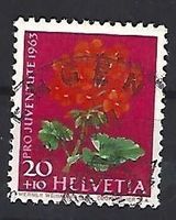 1963- PJ / Wiesen- und Gartenblumen