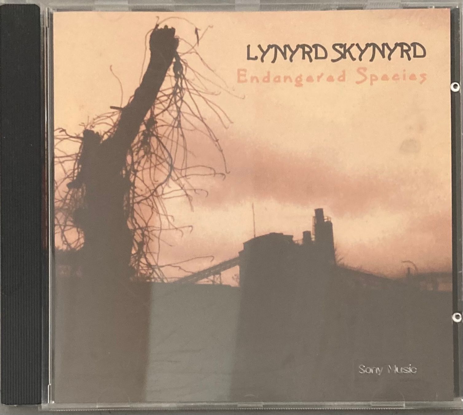 CDs: LYNYRD SKYNYRD - ENDANGERED SPECIES – D'occasion à Poliez-Pittet par Newtown-Records