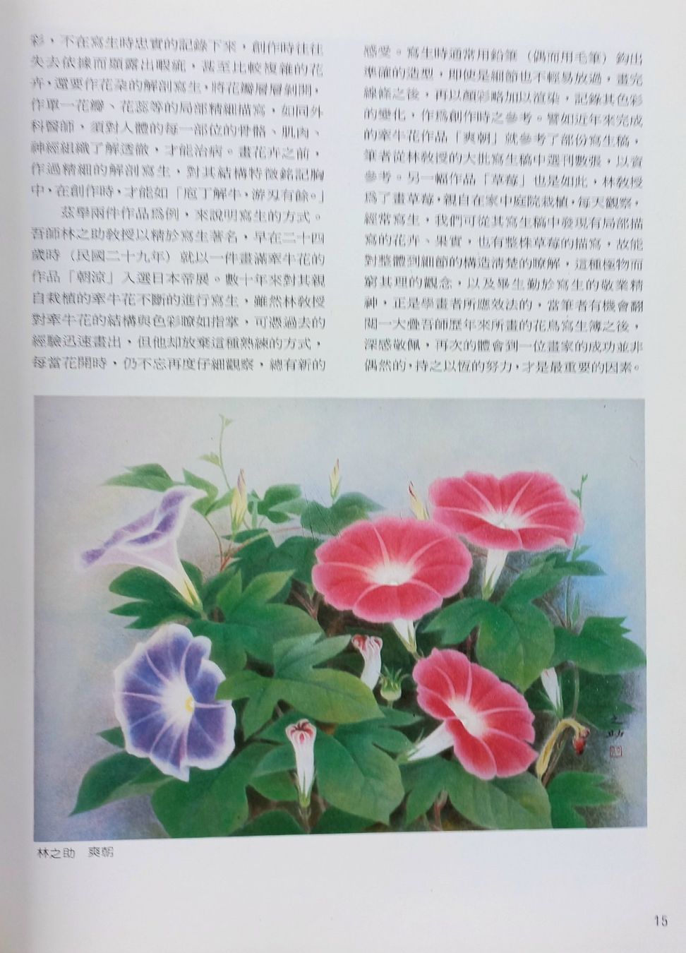 Bücher: Chinesische Malerei - Lehrbuch - Chinesisch – Gebraucht aus Niederuzwil von lubimaja 2