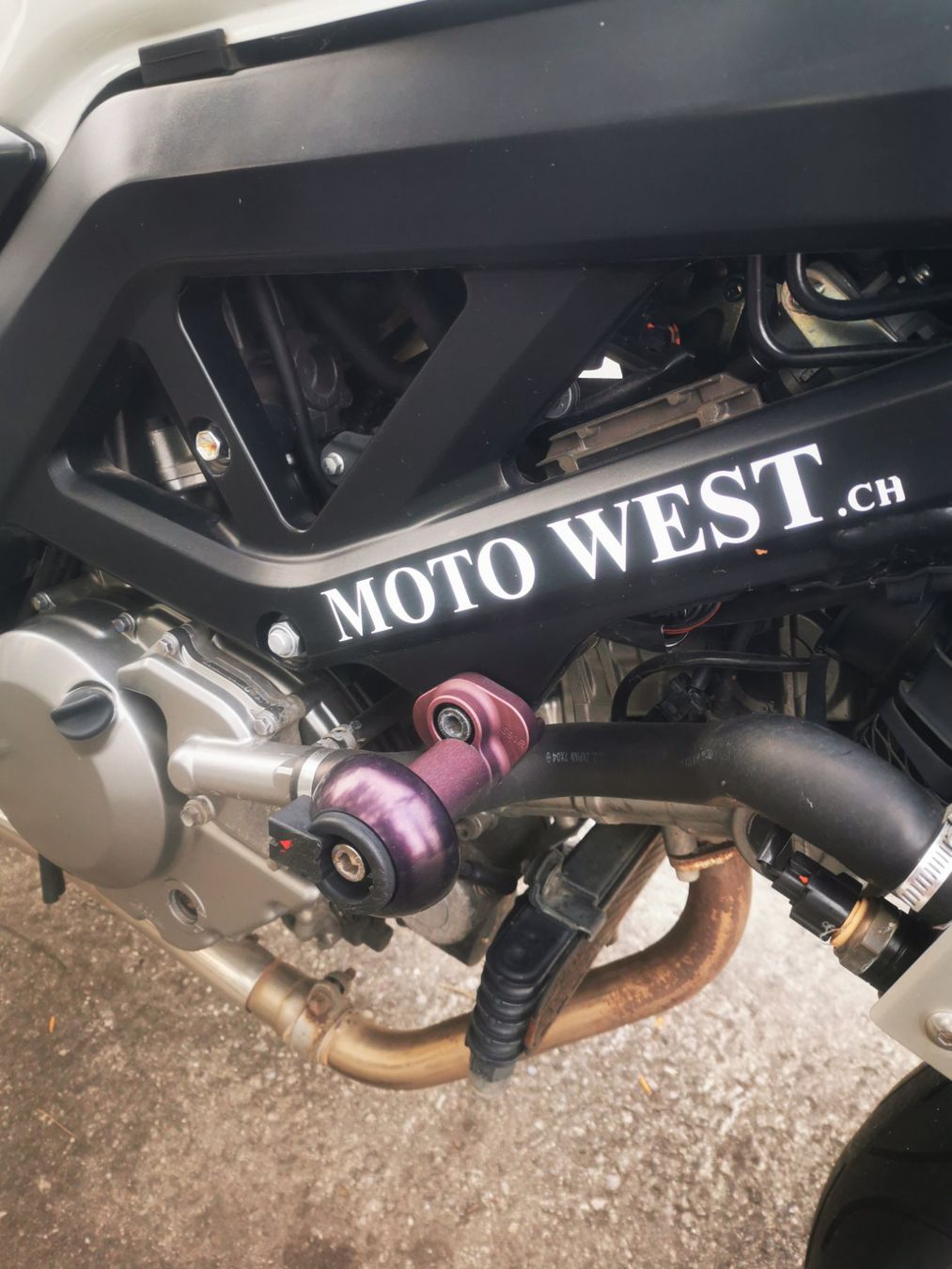 Suzuki Strada: Suzuki SV650 ABS – Usato da Basel venduto da Irinamirella 5