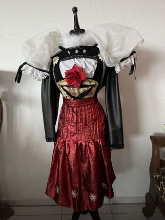 Fasnacht : Trachten Oberteil mit Schürze