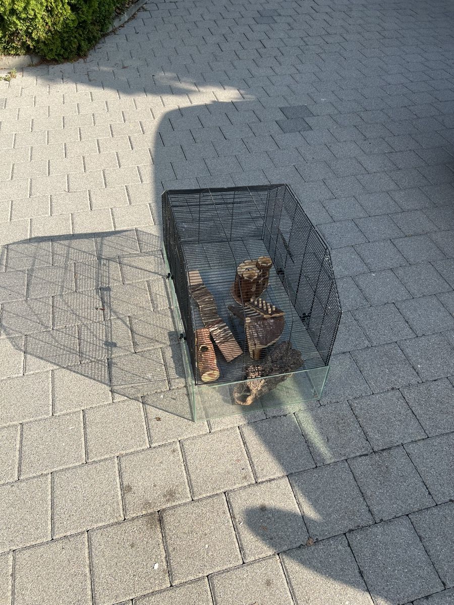 Cages, transport & sécurité: Mäusekäfig – D'occasion à Giffers par ang_pn2x
