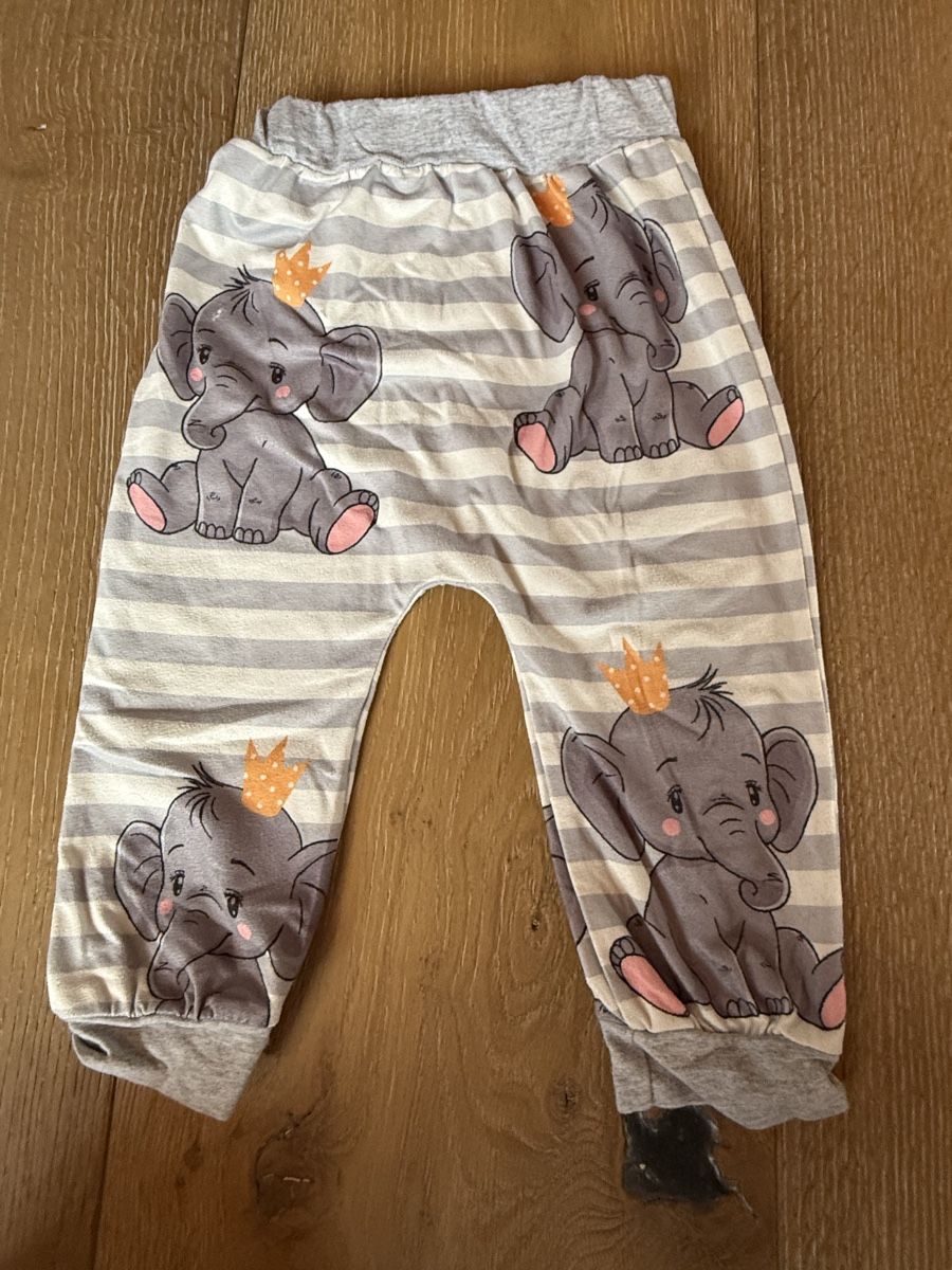 Kleiderpakete & -sets: Set Elefant Grösse 12 Monate (74/80) – Gebraucht aus Pragg-Jenaz von gobrist 2