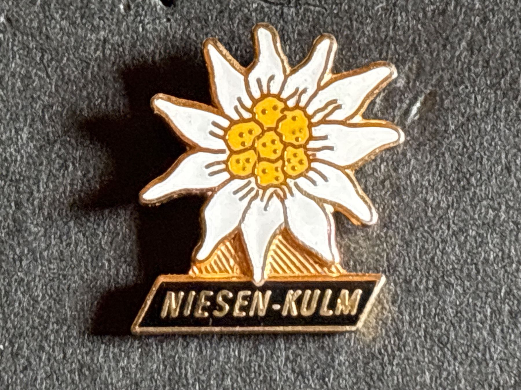 Placchette & Badge: Pin Niesen-Kulm Enzian pm – Usato da Lützelflüh-Goldbach venduto da NicoleL.