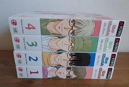 Hot Gimmick Vizbig omnibus Edition volumes 1-4, Miki Aihara