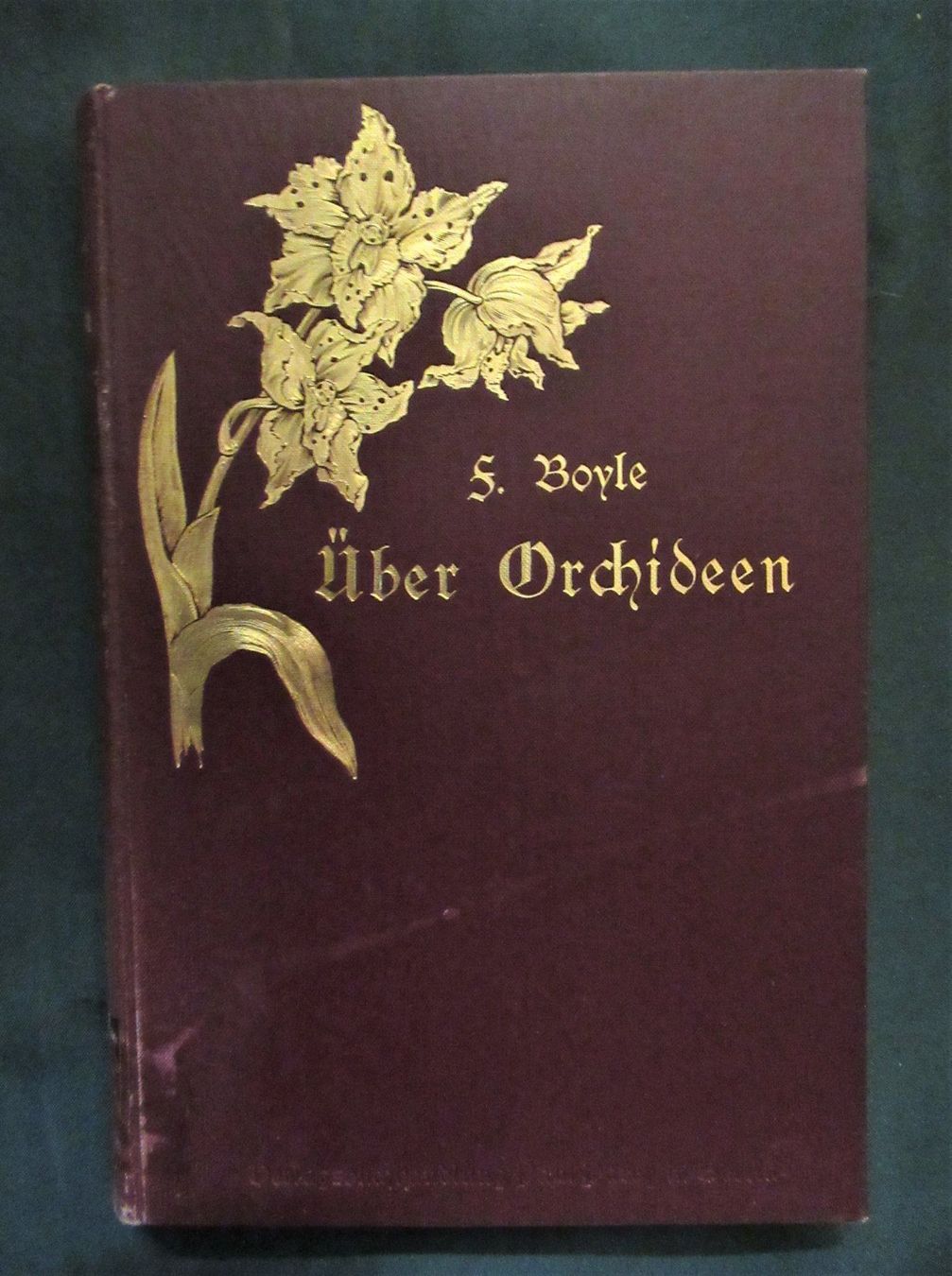 Bücher: Orchideen – Gebraucht aus Hedingen von Protechnica 1