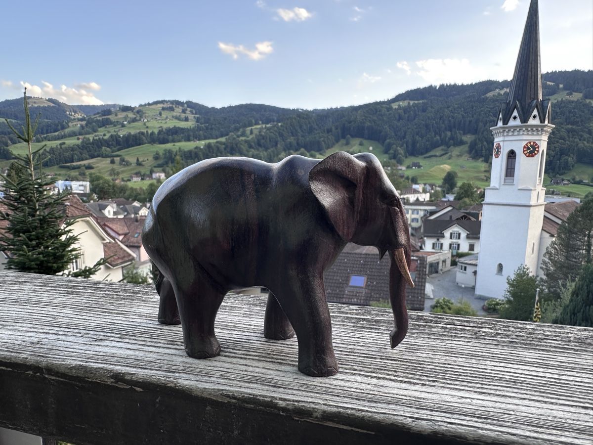 Statuette: Elefant dunkles Holz – Usato da Ebnat-Kappel venduto da ladina83 1