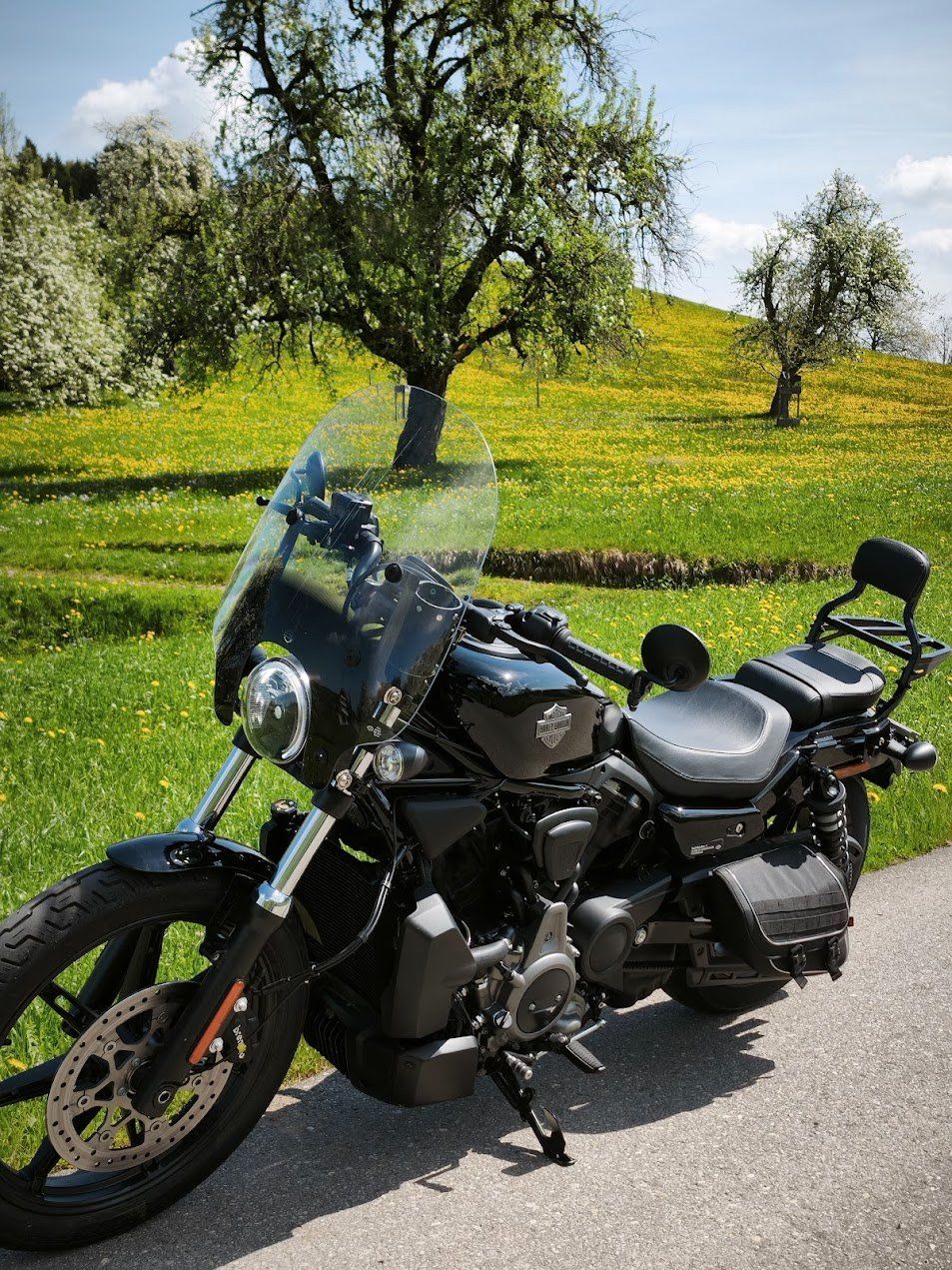Harley-Davidson Altro: Harley Davidson RH 975 – Nuovo (secondo la descrizione) da Luetisburg venduto da Cowo 2