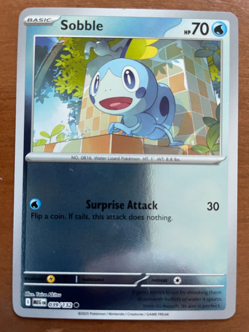 Pokémon Carte collezionabili: Pokemon Sobble Reverse (Versand gratis) – Nuovo (secondo la descrizione) da Chur venduto da Angerson