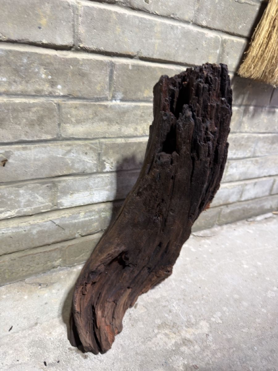 Articoli in legno: Mangrovenholz Aquarium – Usato da Rudolfingen venduto da levinkuendig11 4