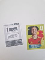 Panini Sticker BEL18