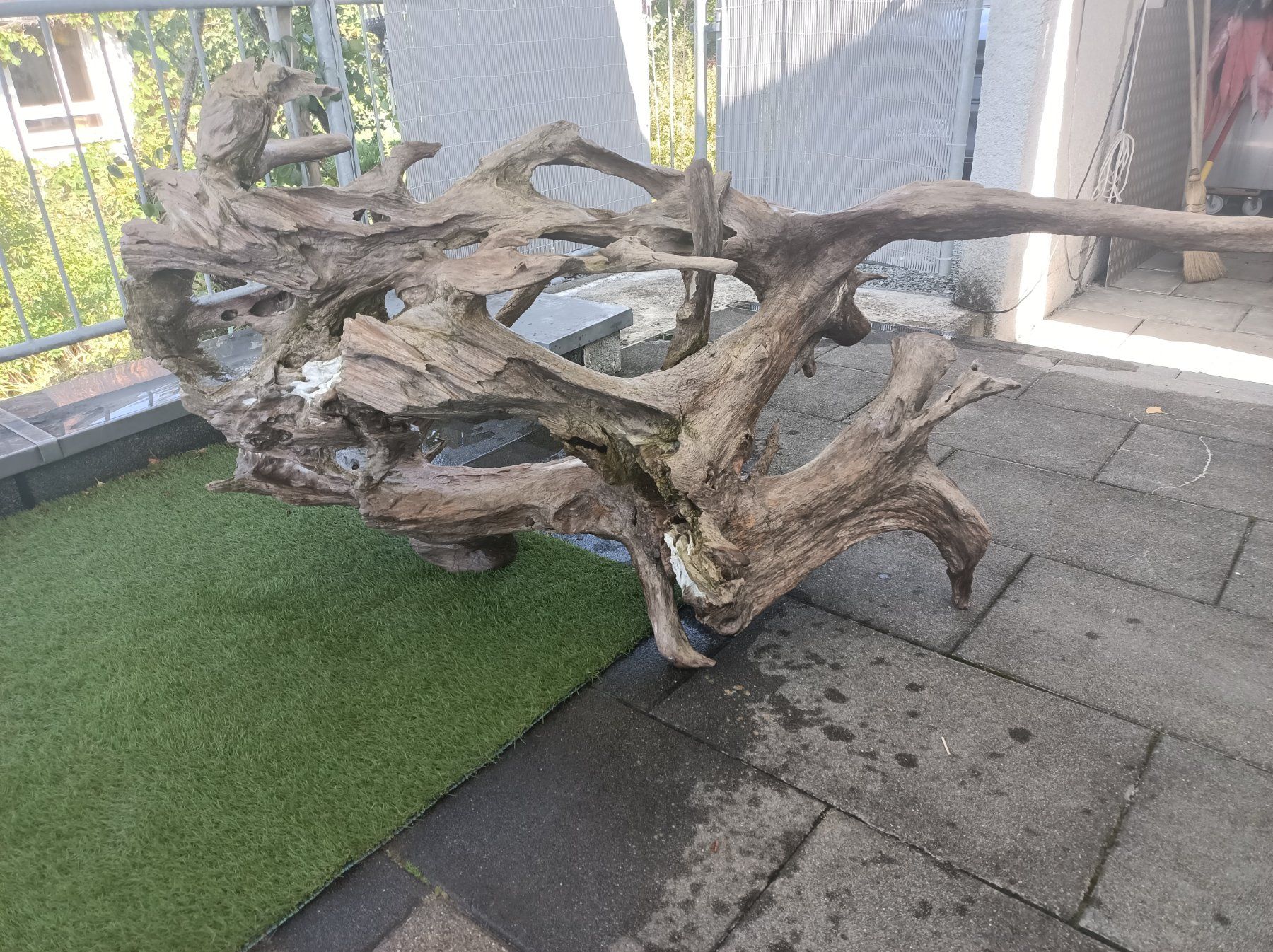 Holzartikel: Aquarium oder Terrarium Wurzel XXL – Gebraucht aus Mettmenstetten von Motoro66 3