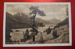 Campfer/Silvaplana 1926
