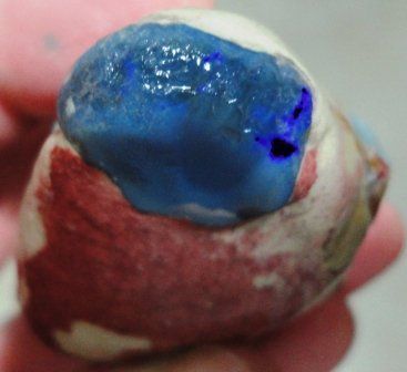 Pietre preziose: Schwarzer Opal 305 ct Lightning Ridge Australien – Nuovo e nell'imballaggio originale da zuerich venduto da Jewlsdesign