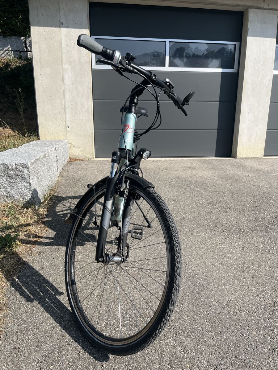 Flyer Biciclette: Flyer E-Bike T-Serie – Usato da Rüedisbach venduto da aeduu 3