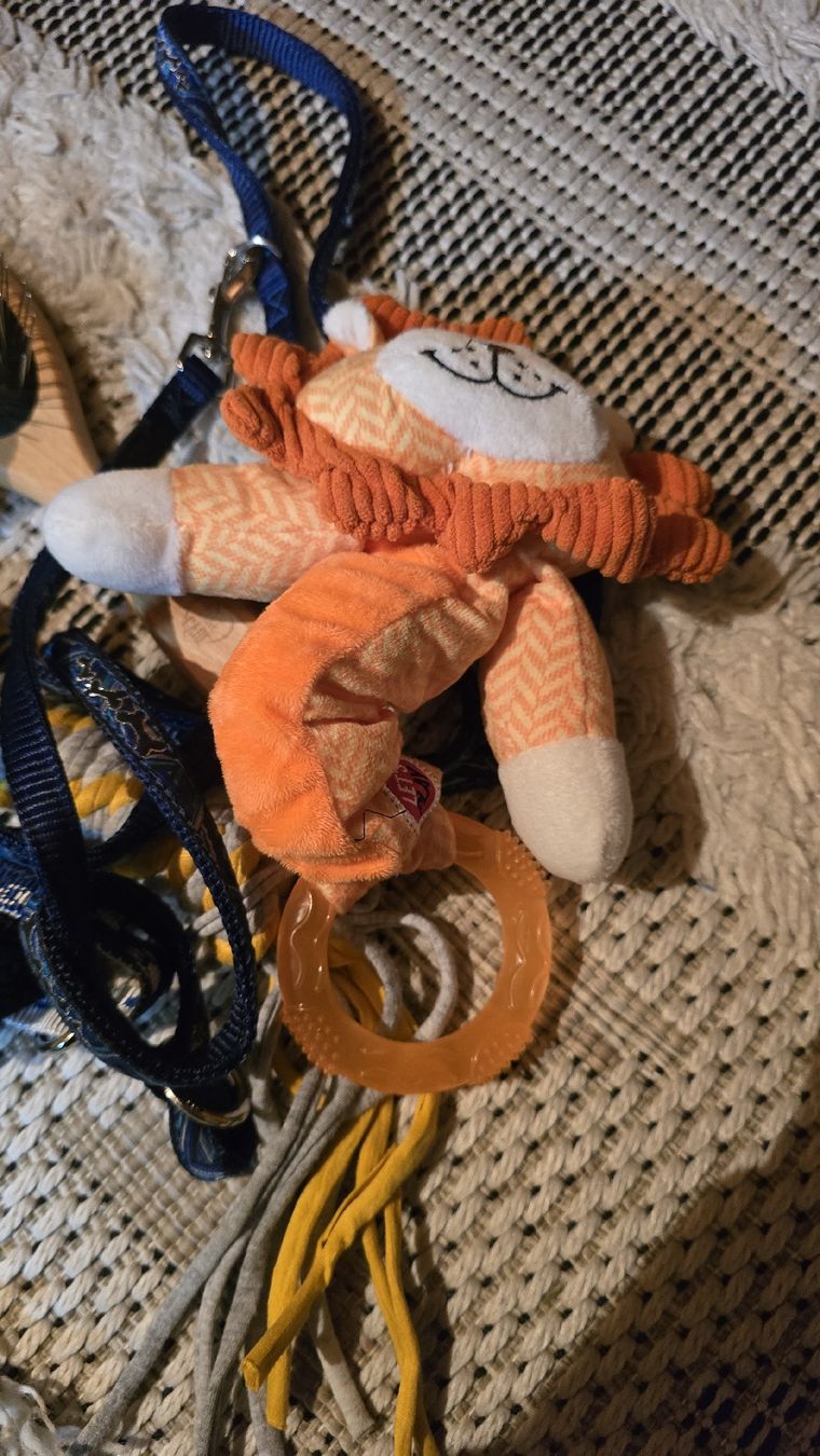 Spielzeuge: hunde Spielzeug  – Gebraucht aus Schiers von ok3232 3